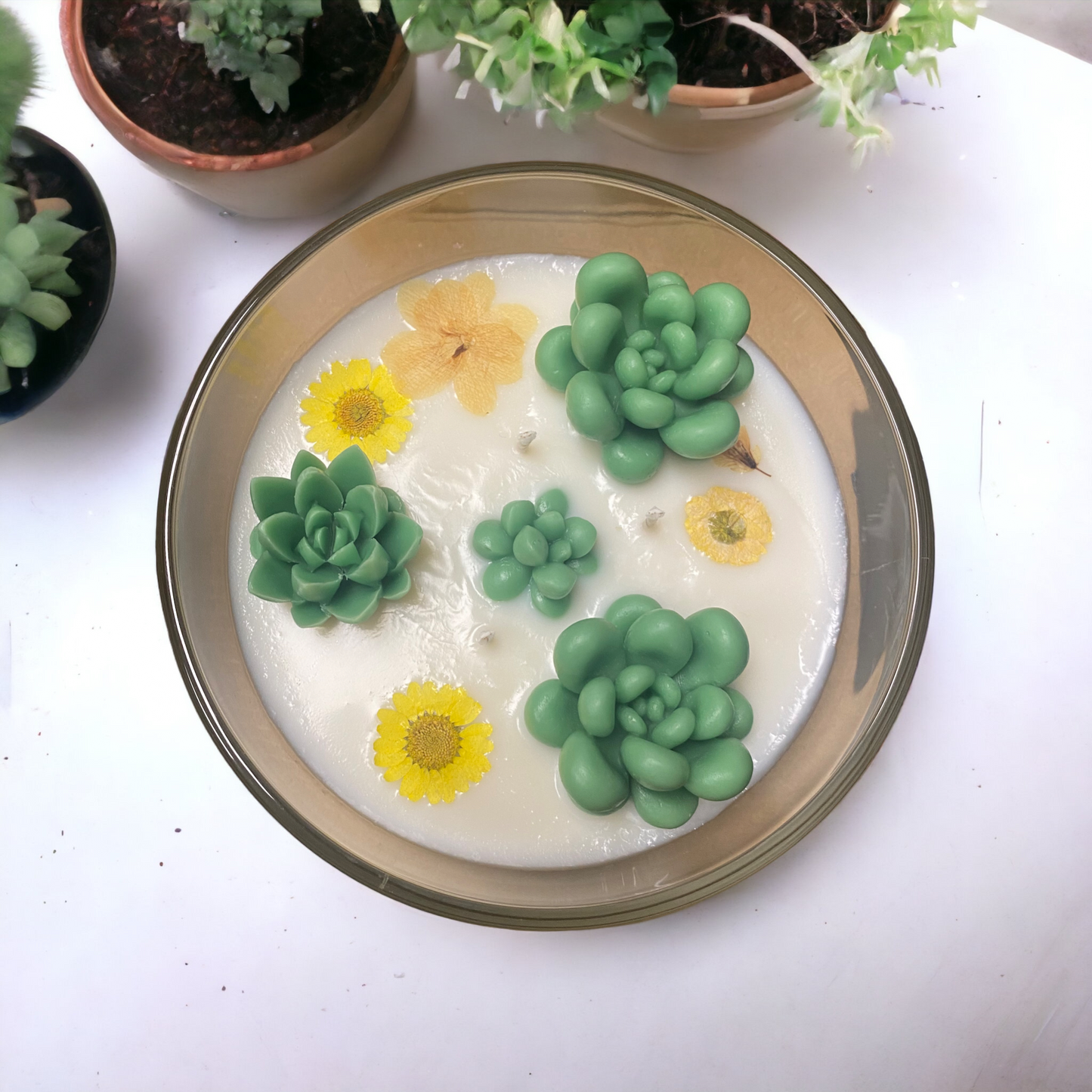 Succulent Candle