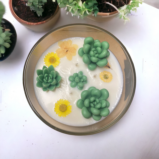 Succulent Candle